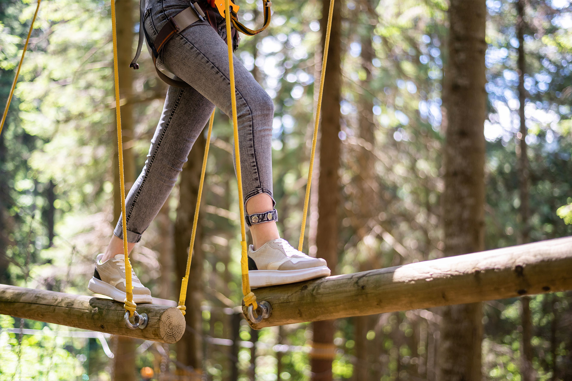 Kletterwald